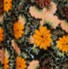 Yellow Floral Swing Dress