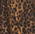 Leopard Halter Swing Dress