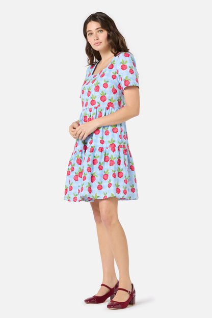 Radish Picnic Smock Dress