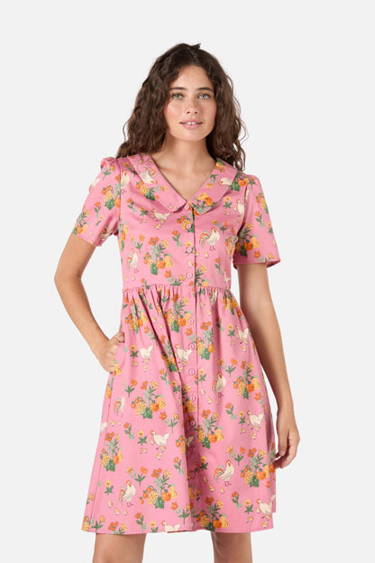 Chickens Mini Shirt Dress